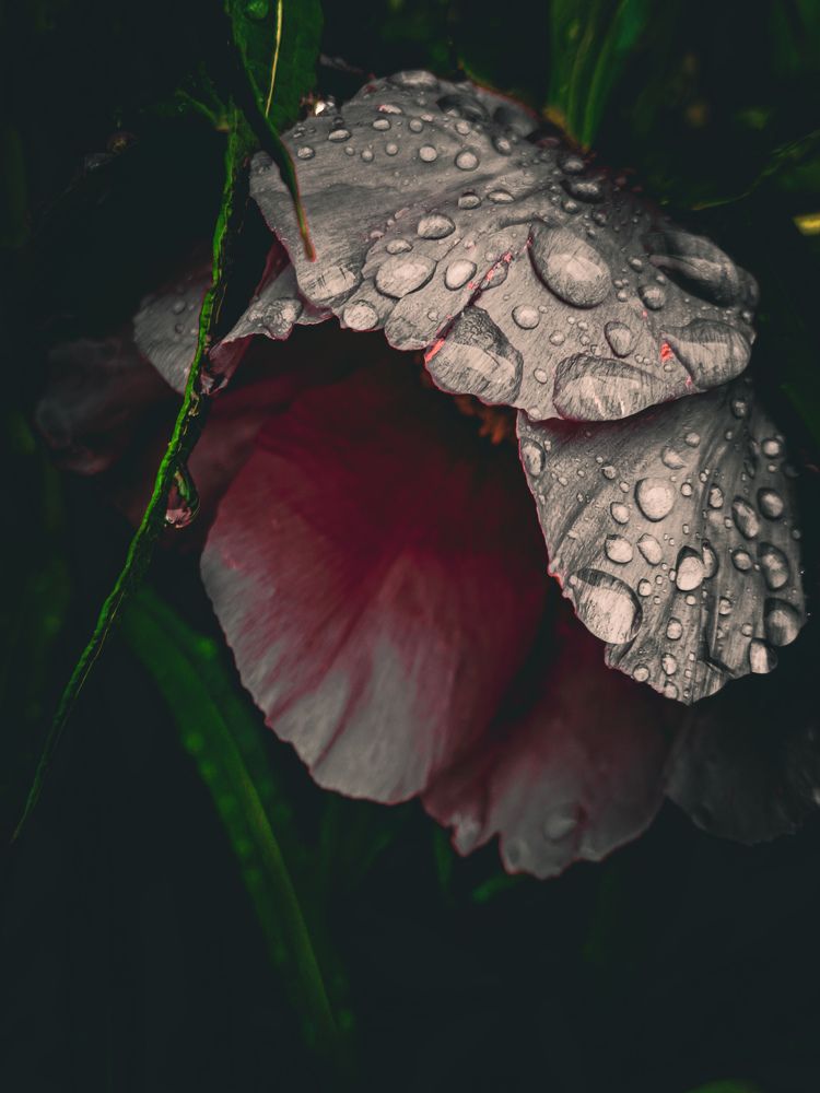 Photograph by Владимир Сушкин