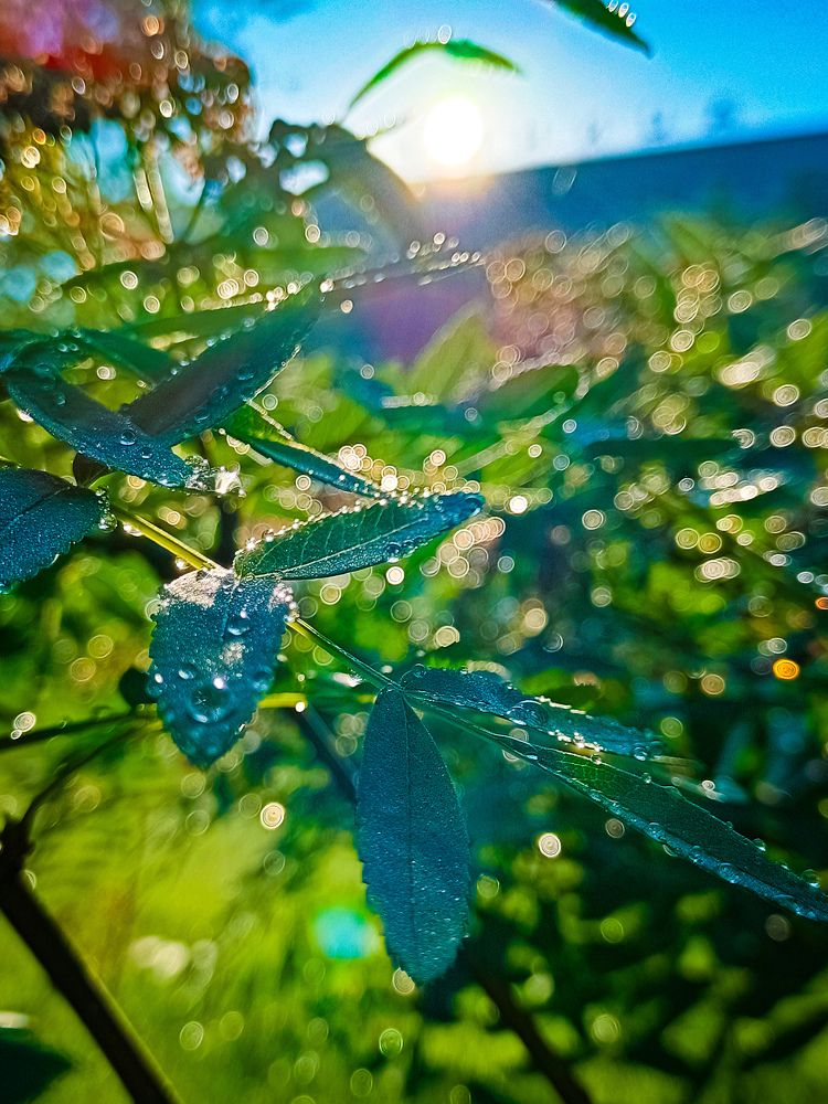 Photograph by Владимир Сушкин