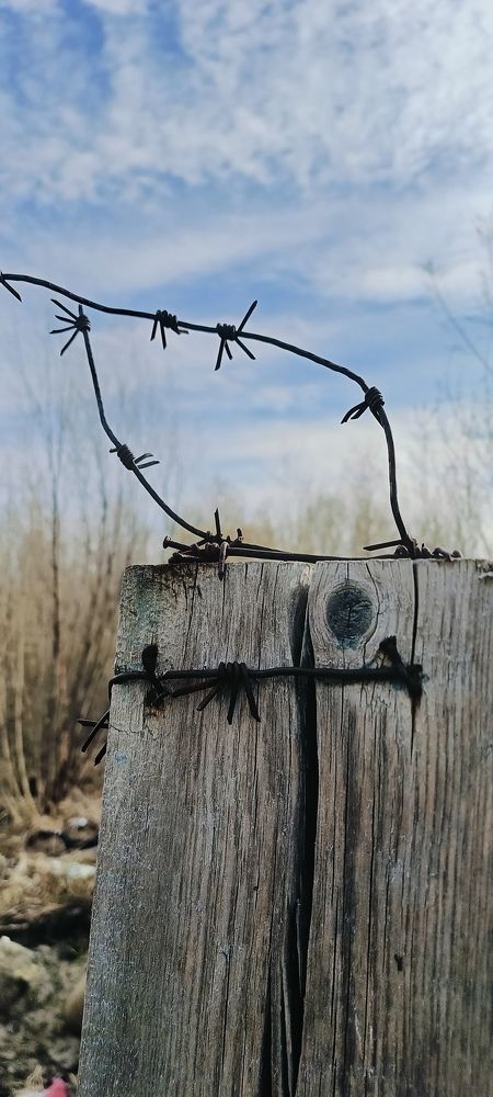 Photograph by Лариса Натальская