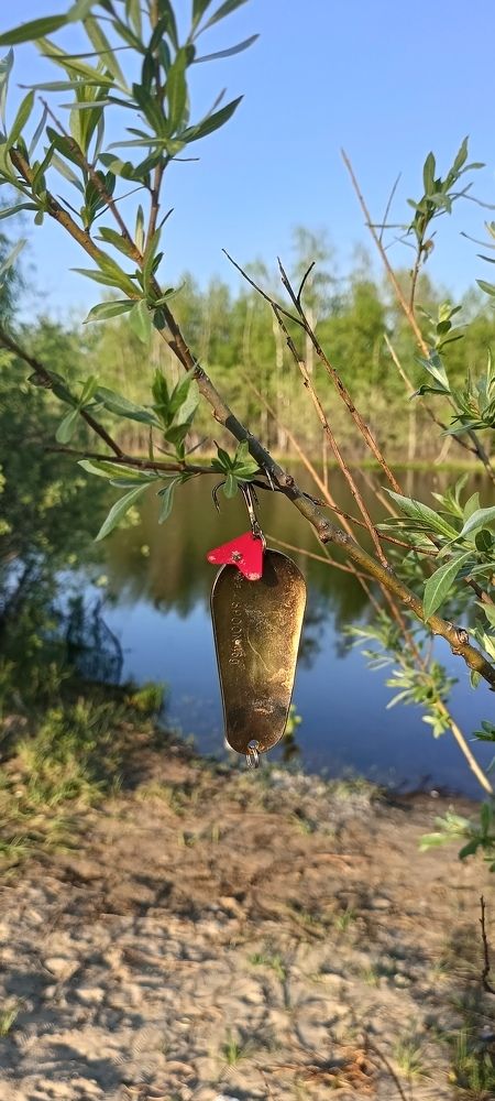 Photograph by Лариса Натальская