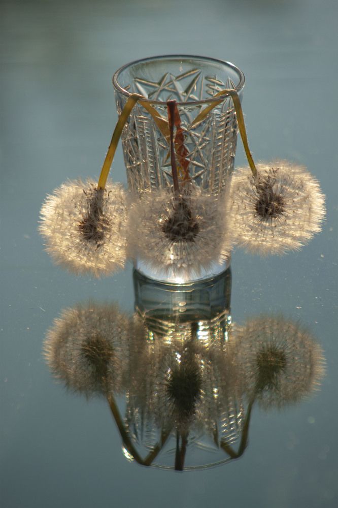 Photograph by Владислав Капанов