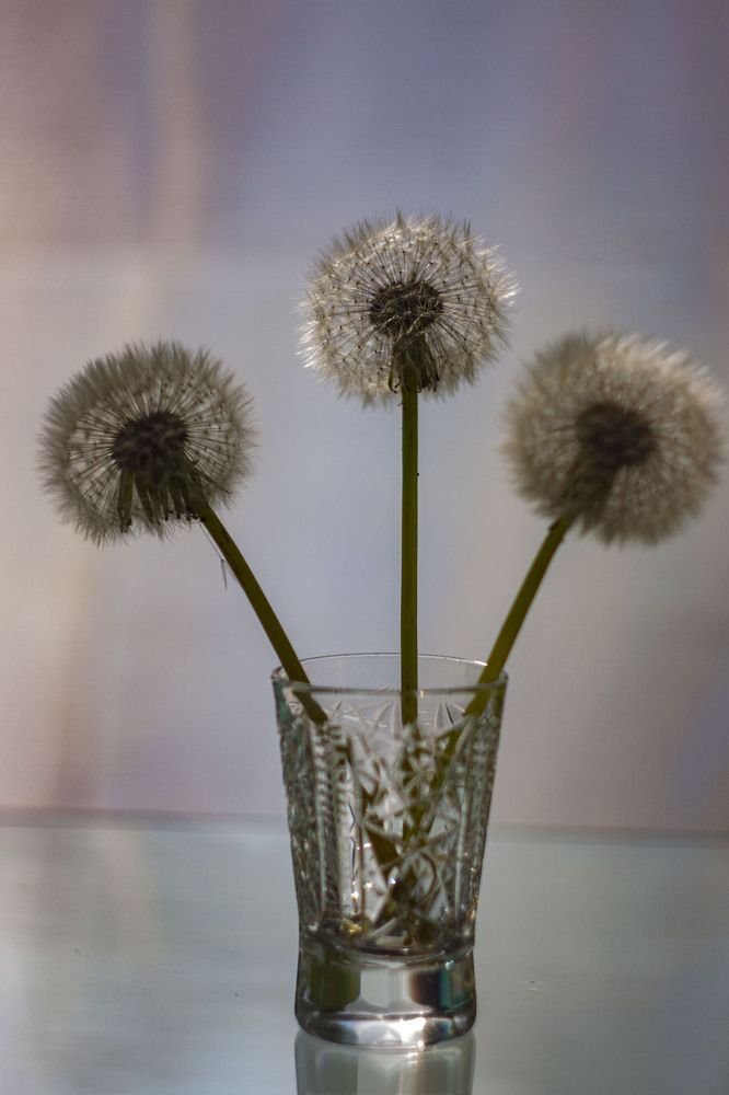 Photograph by Владислав Капанов