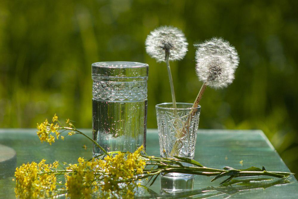 Photograph by Владислав Капанов