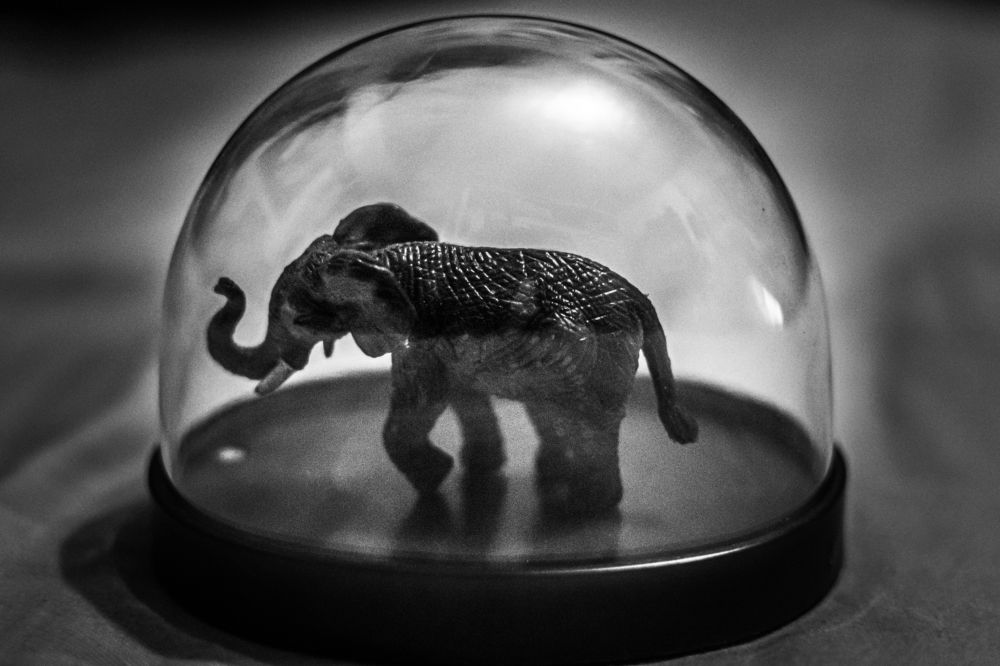 Photograph by Mauricio Santiago Boulogne