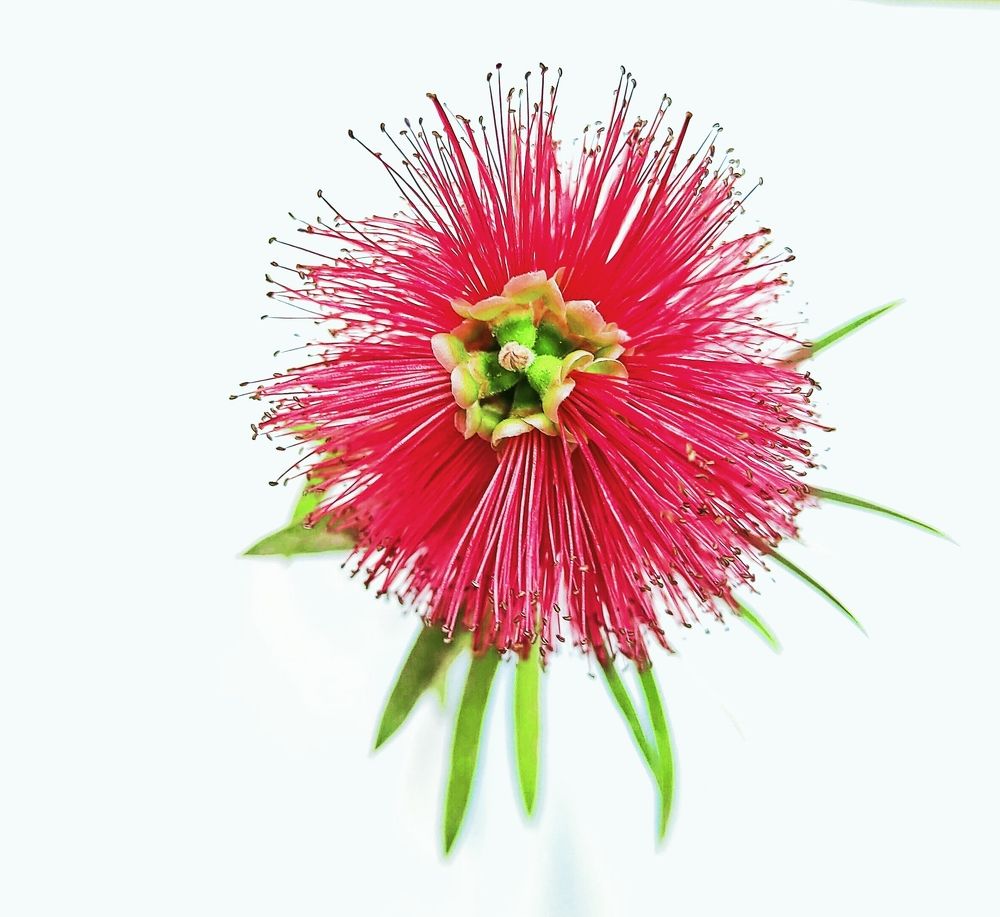 Фотография автора zakaria ahmad