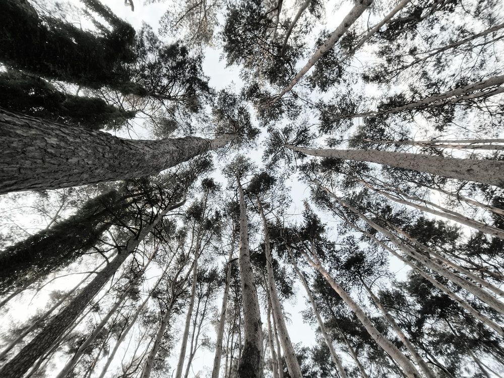 Photograph by Halina Basyanok