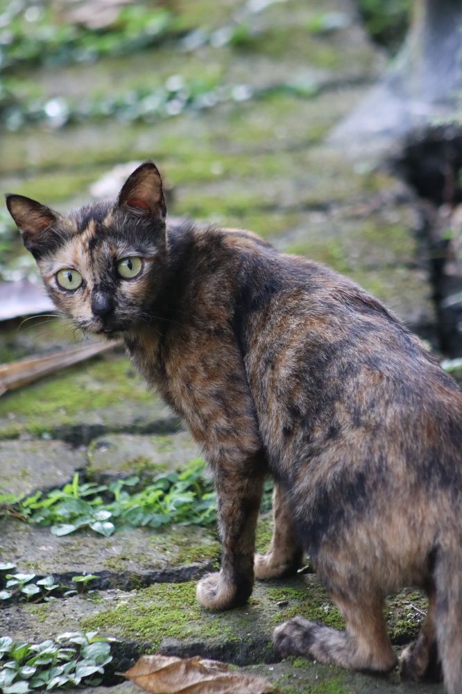 Photograph by Komang Mariono