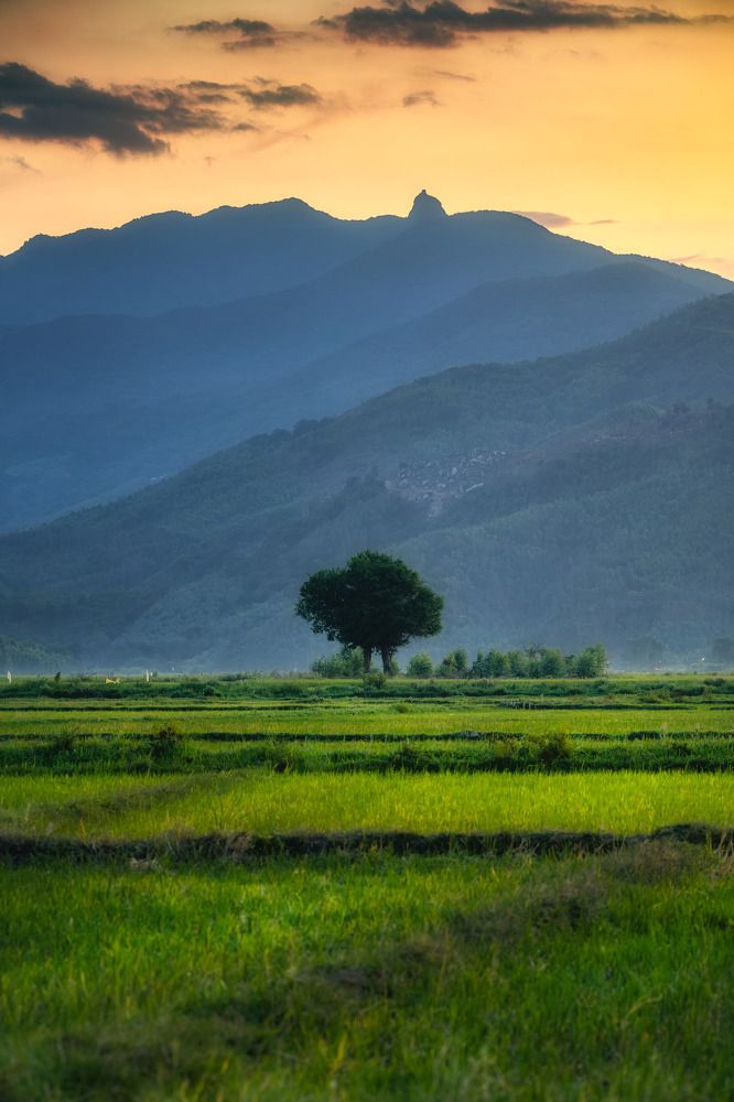 Photograph by Nguyễn Phan Đăng Quan