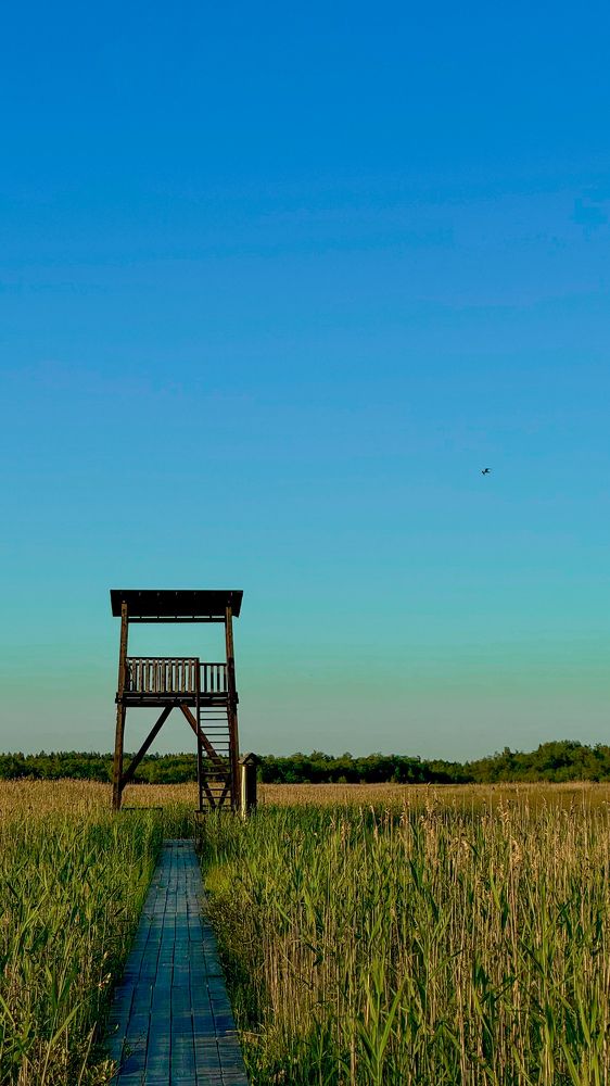 Photograph by Mariia Voloshina