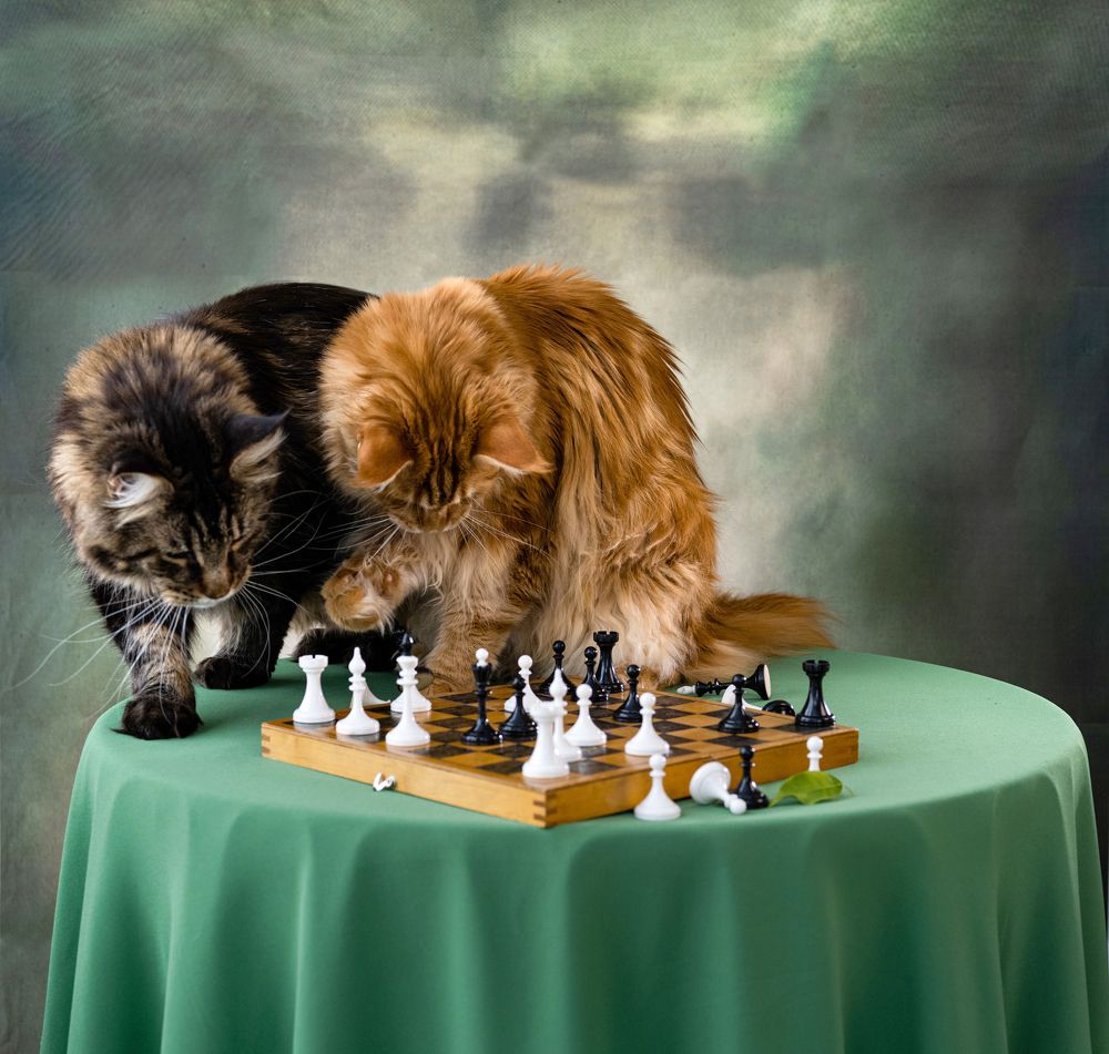 Photograph by NADEZHDA PELYMSKAIA