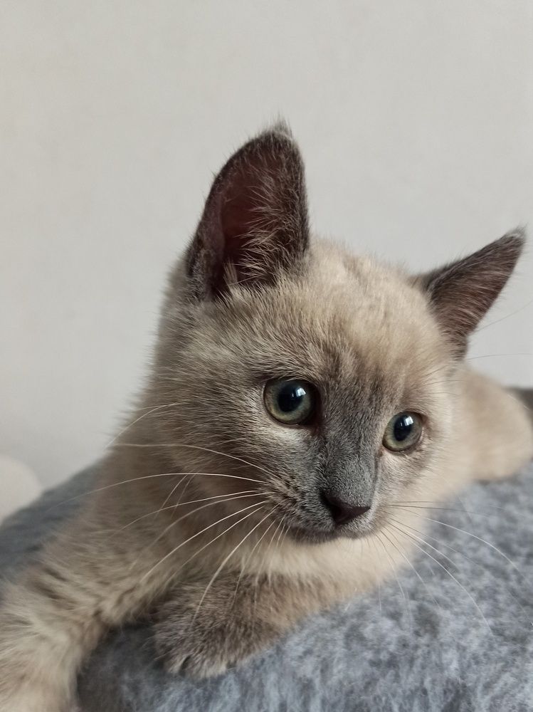 Photograph by Наталия Степанова