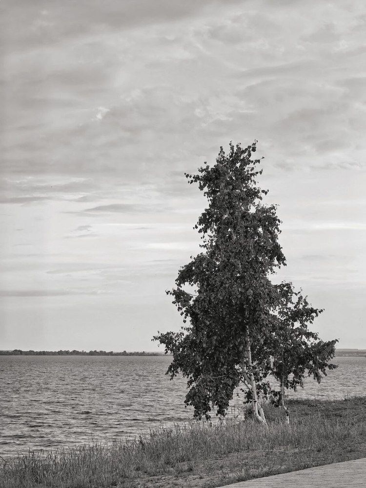 Фотография автора Дарья Гончарова