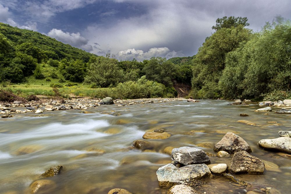 Photograph by Alex Kalpus