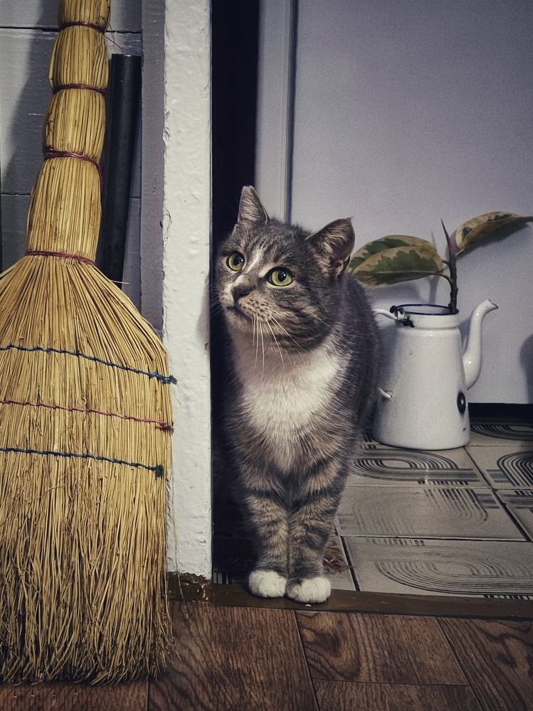 Photograph by Елена Ямнюк