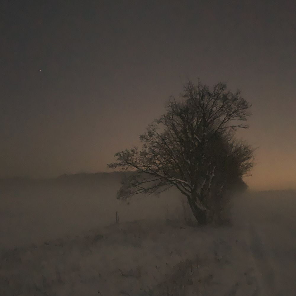 Photograph by Анастасия Мангольд