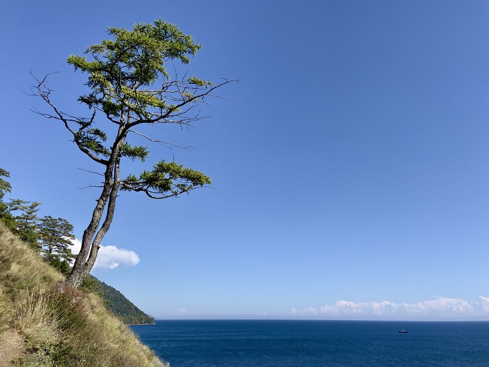 Photograph by Тимур Жилкибаев