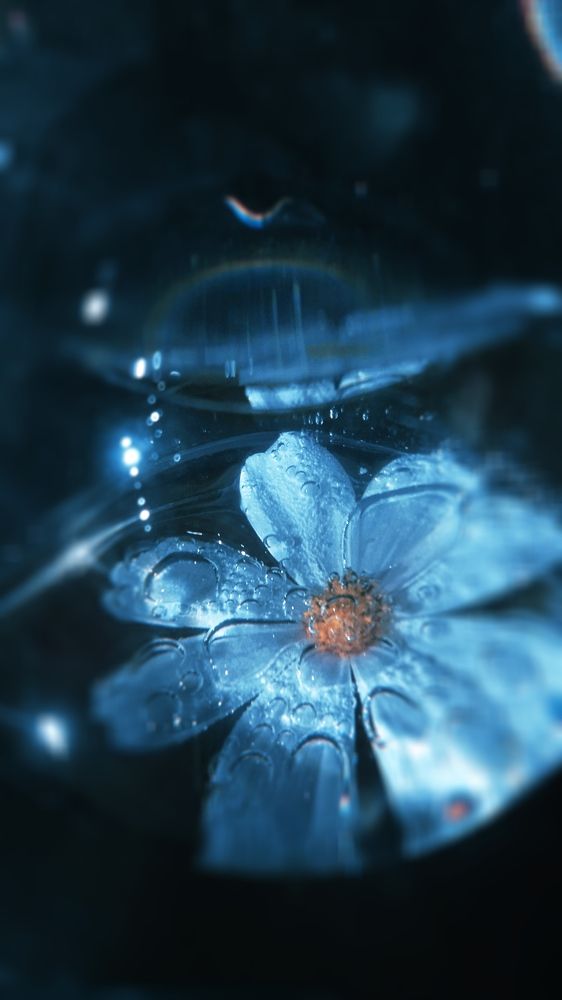 Photograph by Ольга Рыкова