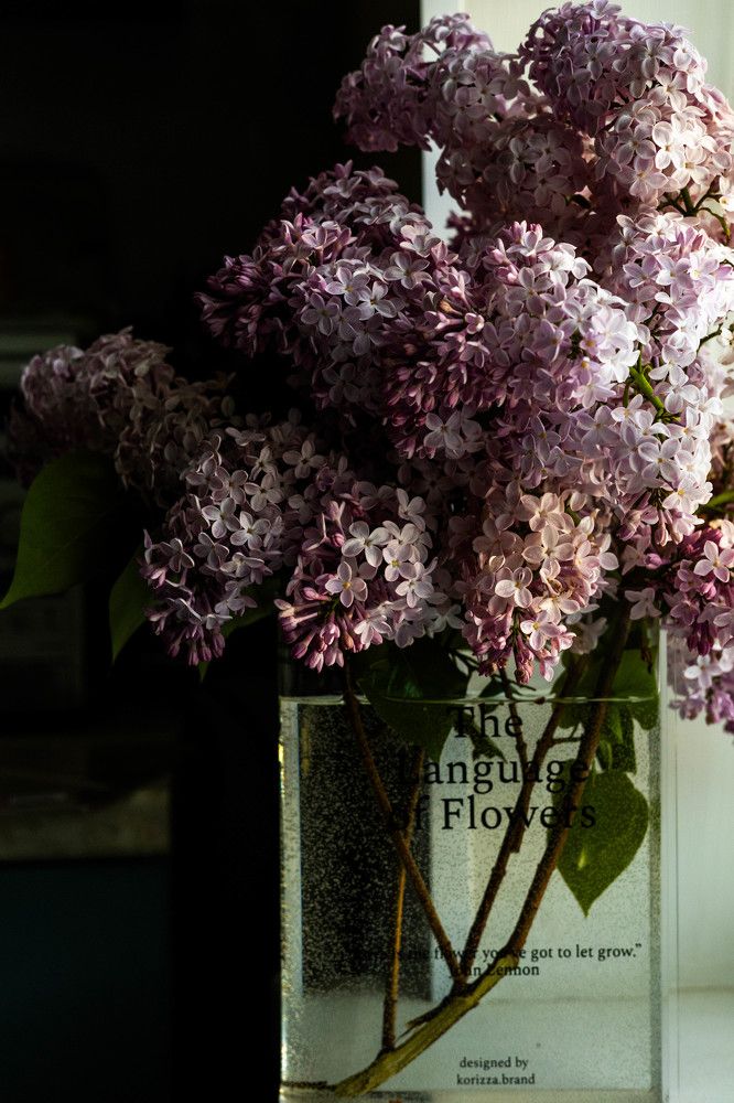 Фотография автора Yuliya Yuskova