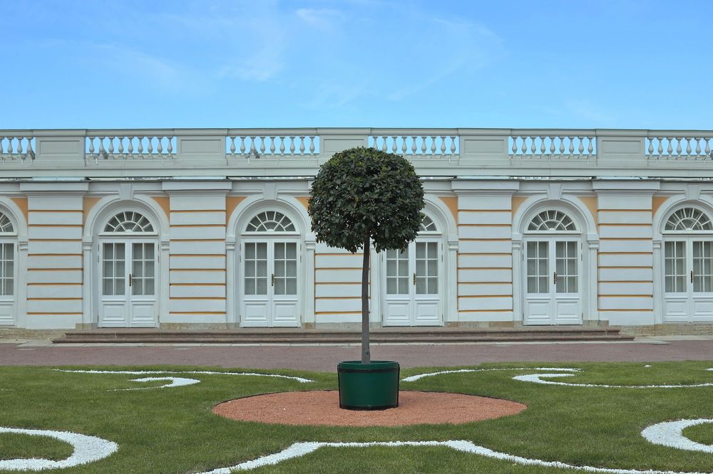 Photograph by Геннадий Капунов