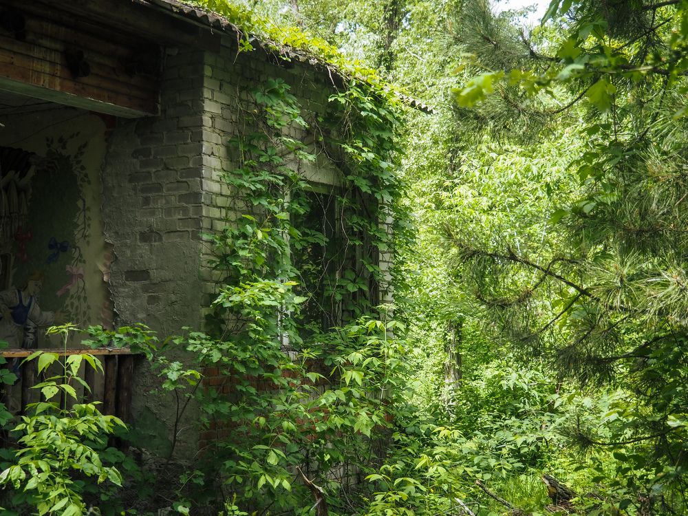 Photograph by Светлана Шибаршина