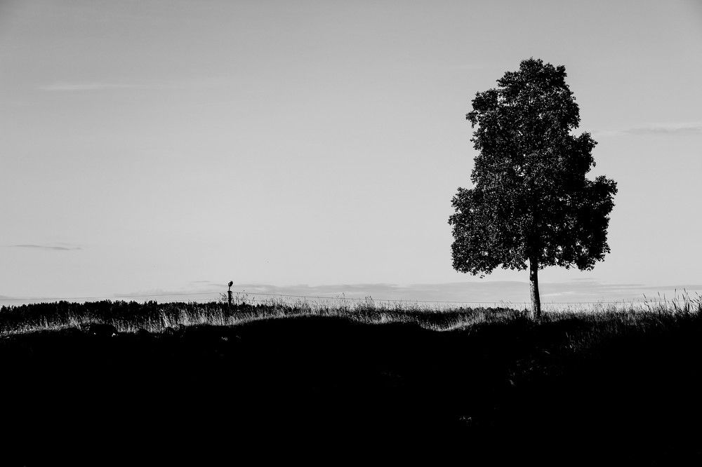 Photograph by Aleksandra