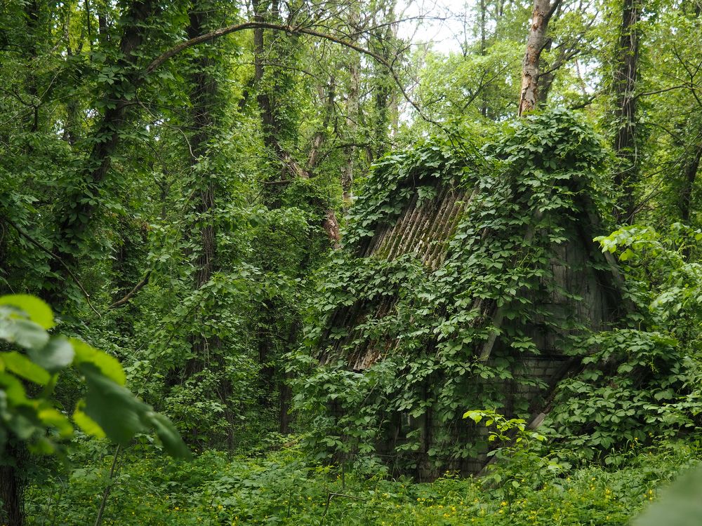 Photograph by Светлана Шибаршина