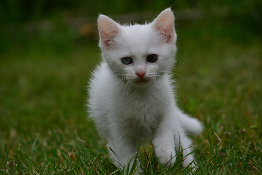 Photograph by Сергей Симаков