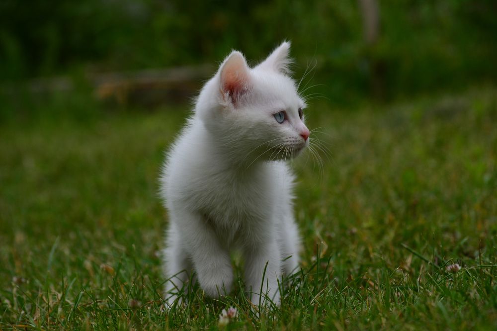 Photograph by Сергей Симаков