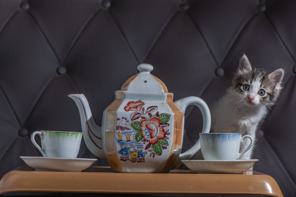 Photograph by Chamara Sulakkhana Polwatta Siriyalage