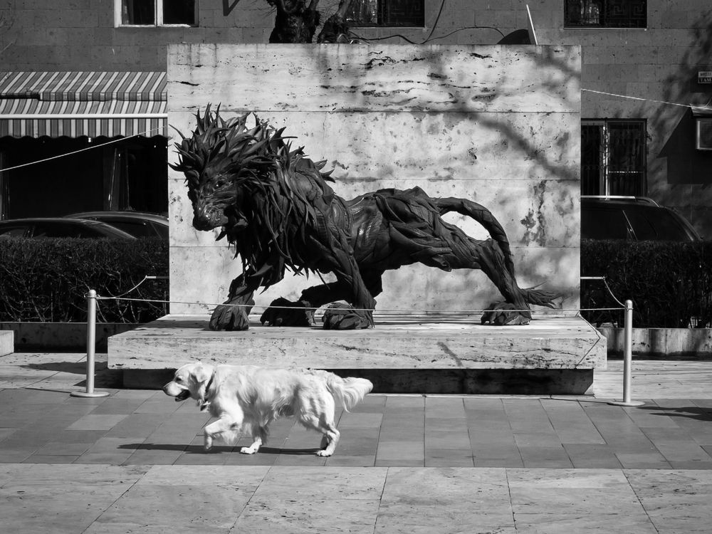 Photograph by Владислав Михайлов