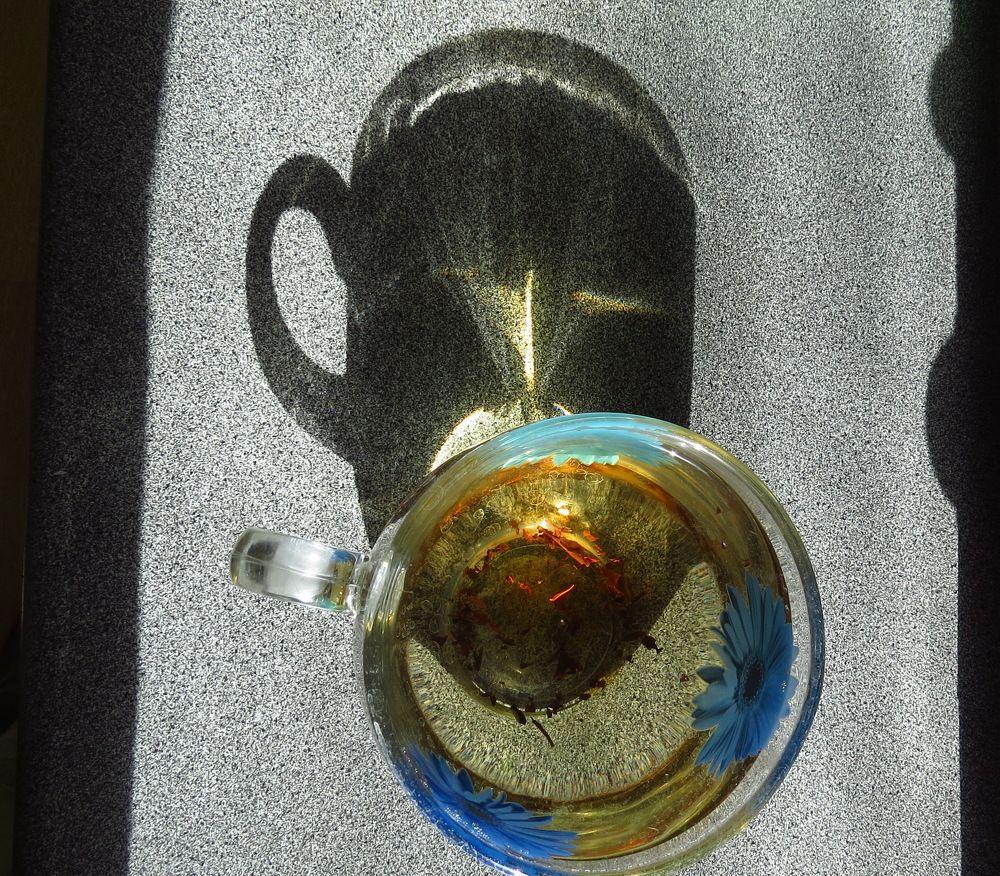 Photograph by Елена Казарина