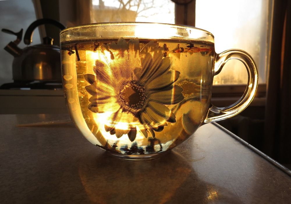 Photograph by Елена Казарина