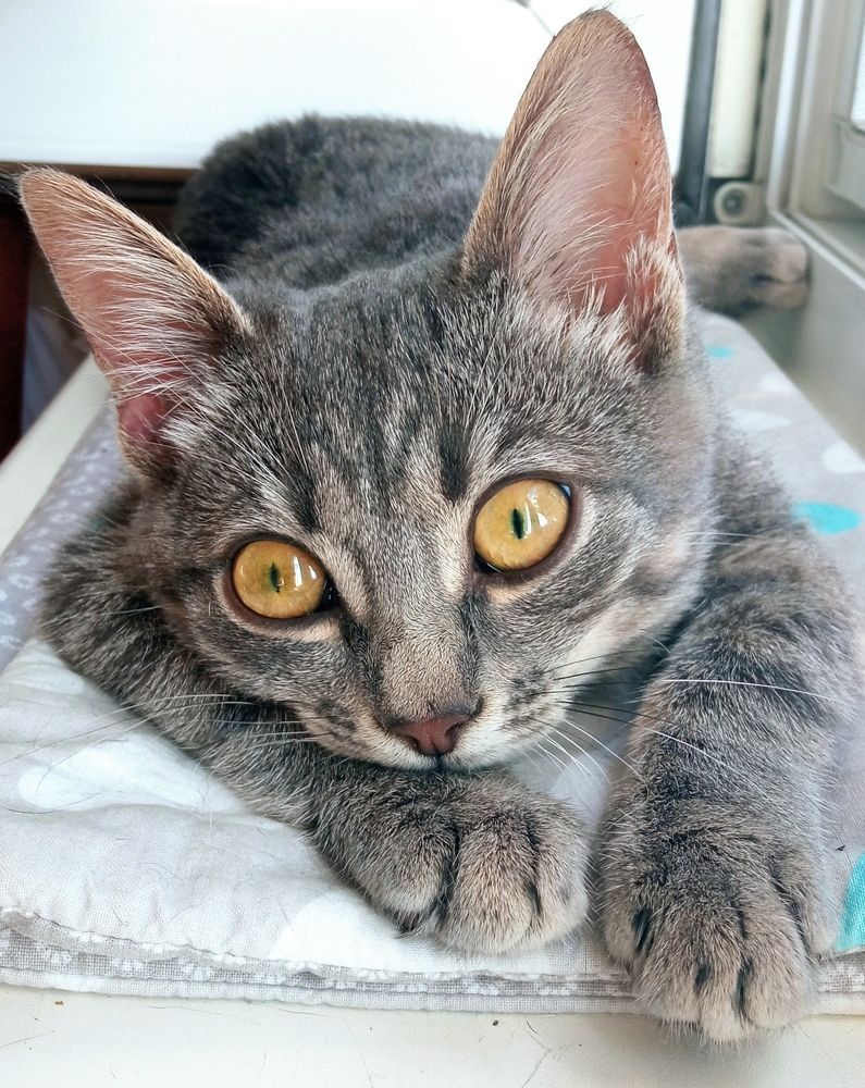 Photograph by Дмитрий Соколов