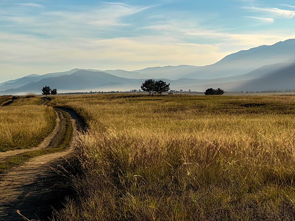 Photograph by Марина Корреа Ластра