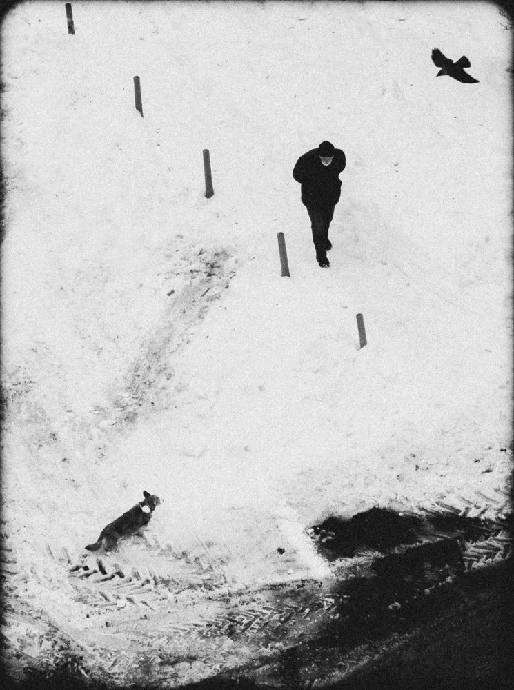 Photograph by Надежда