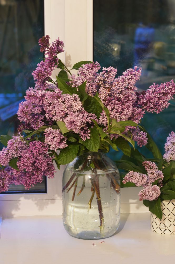 Photograph by Nadezhda