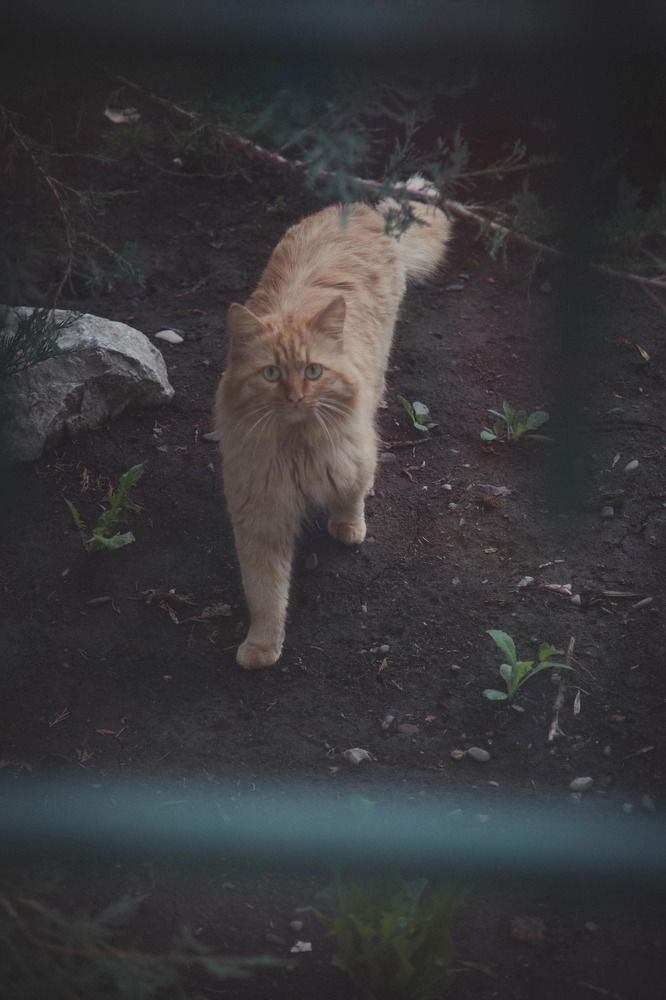 Photograph by Кристина Хестанова