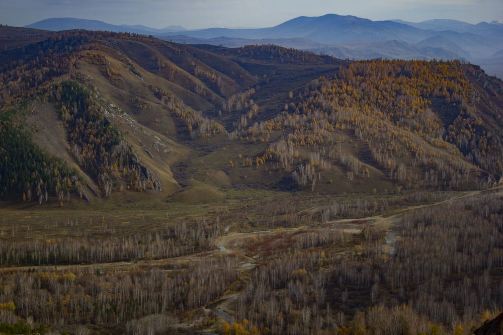 Фотография автора Татьяна Сульженко