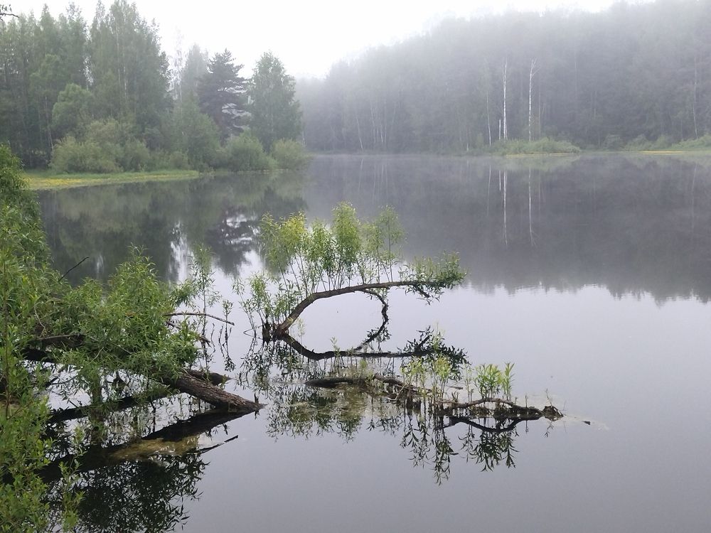 Photograph by Смирнов Алексей