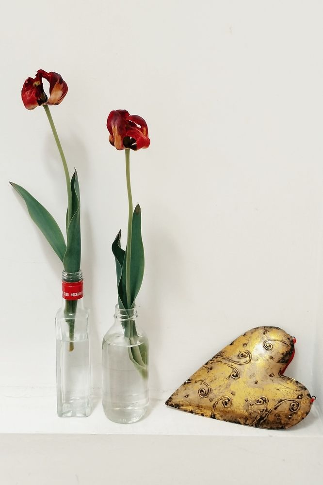 Photograph by Ольга Богорад