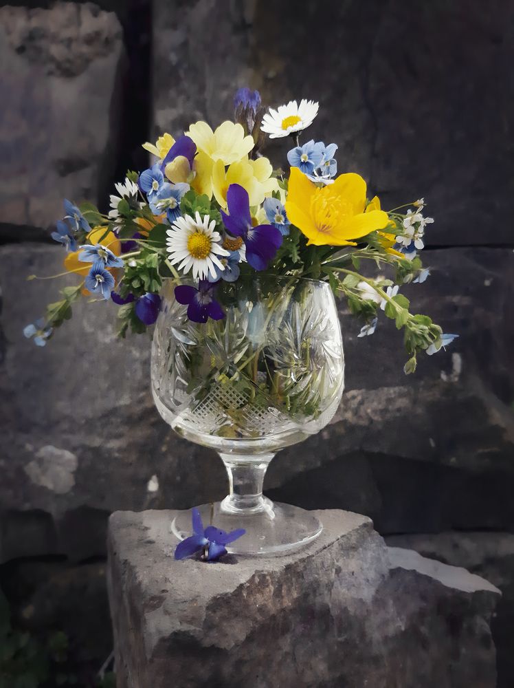 Photograph by Ольга Богорад