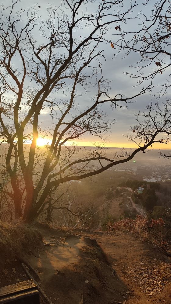 Photograph by Ольга Абугалиева