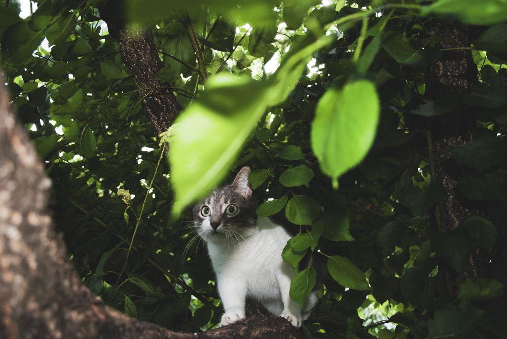 Photograph by Ekaterina