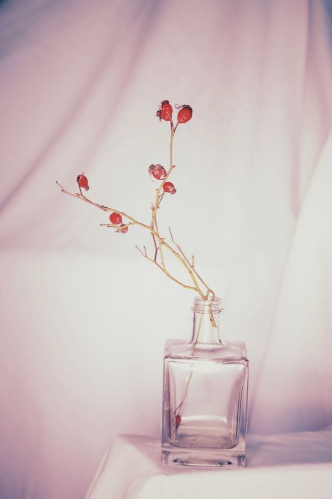 Фотография автора Ирина Якущенко