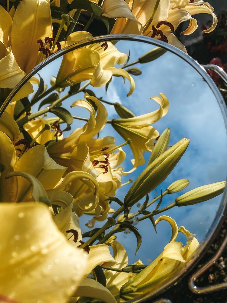 Photograph by Екатерина Ромадановская