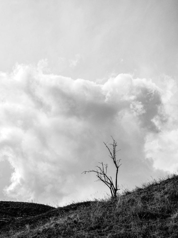 Photograph by Светлана Шибаршина