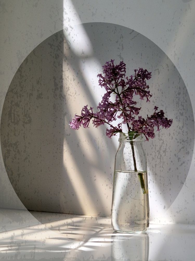 Photograph by Лариса Бурова