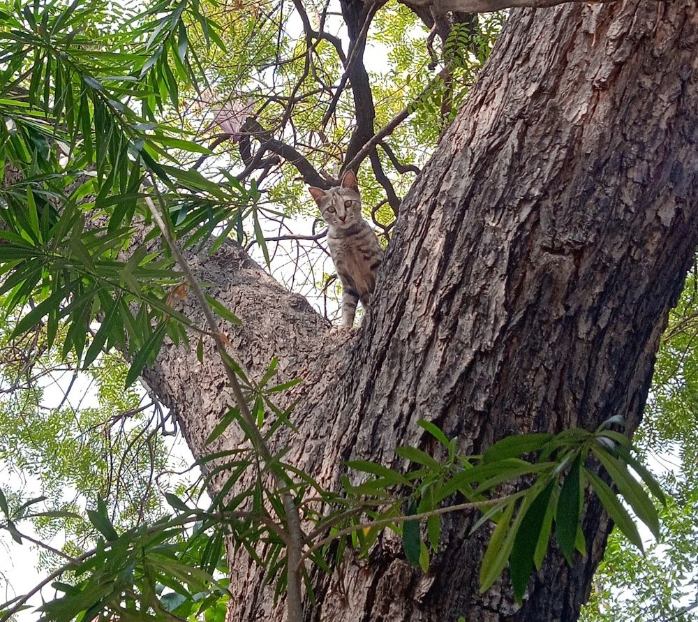 Photograph by Yasha Akhtar