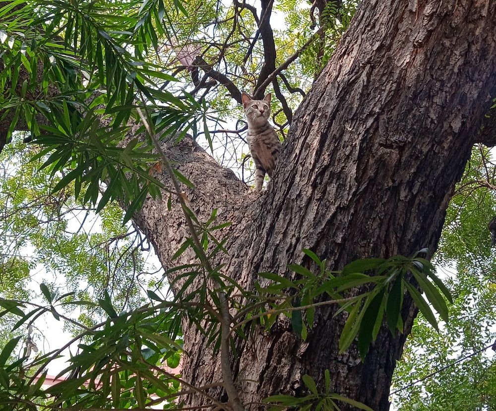 Photograph by Yasha Akhtar