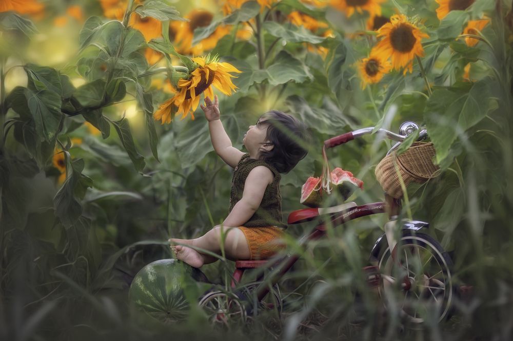 When the sun looks at you